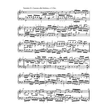 partition variations goldberg