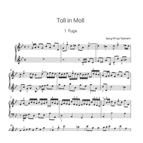 partition toll in moll