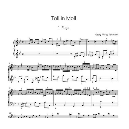 partition toll in moll