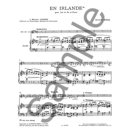 partition en irlande d eugene bozza extrait
