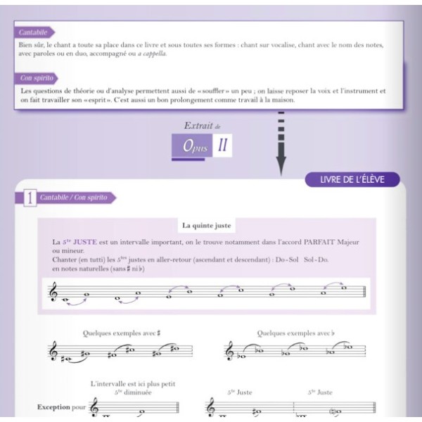 n oubliez pas votre instrument volum 1 livre eleve extrait