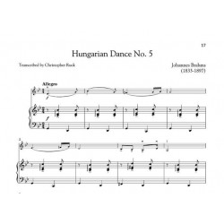 The violin collection partition