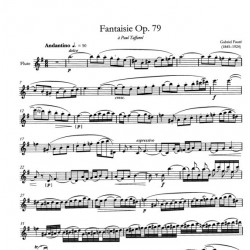Gabriel Fauré Anthology of selected pieces partition flûte