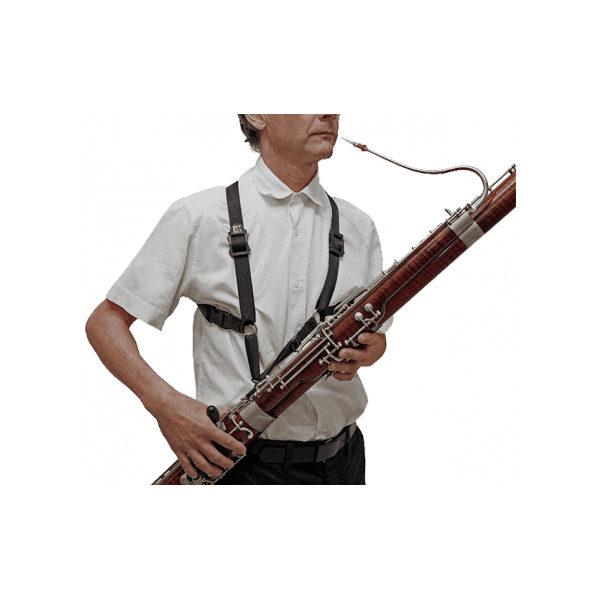 Harnais basson avignon